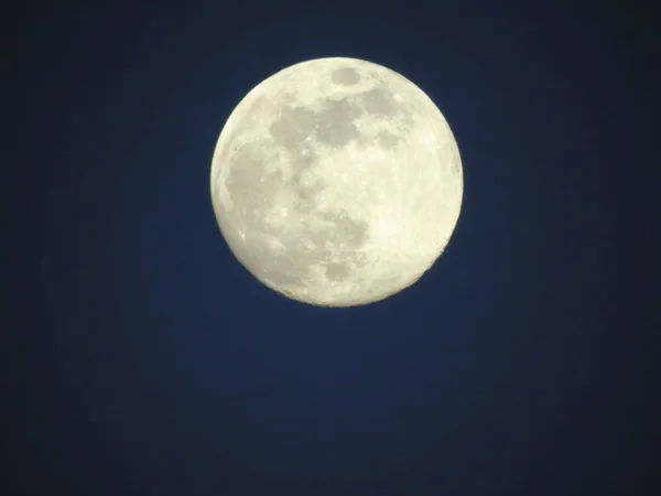 Amazing Caption Full Moon Night Winter — Stock Photo, Image