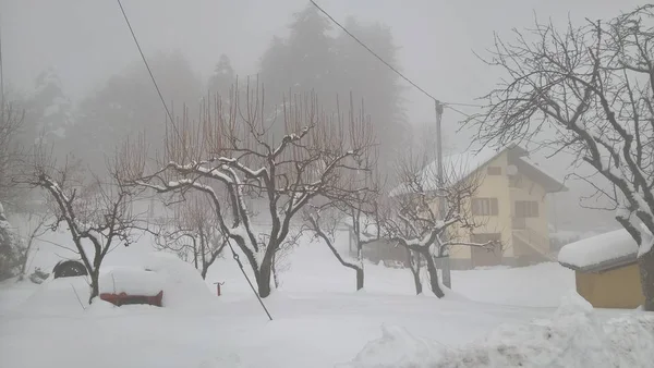 Amazing Winter Days Village Beautiful Snow — Stock Photo, Image