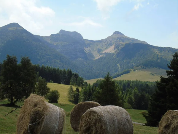 Tre Cime Trento Nelle Giornate Estive — Foto Stock