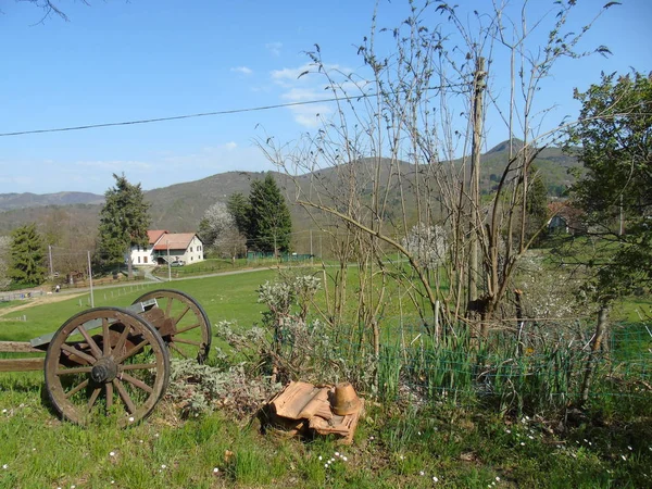 Schöne Bildunterschrift Von Einigen Blumen Aus Dem Dorf Frühling Mit — Stockfoto