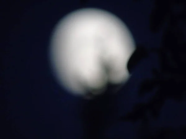 Eine Erstaunliche Bildunterschrift Des Mondlichts Bei Tag Hinter Den Bäumen — Stockfoto