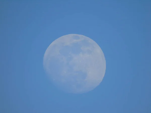 Amazing Caption Moonlight Day Trees Vilage Winter Beautiful Blue Sky — Stock Photo, Image