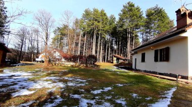 Köydeki ağaçların silueti. Kış günlerinde renkler ve siyah beyaz versiyonu..