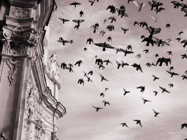 Liguria, İtalya - 03 / 08 / 2020: Arka planda bazı bulutlar ile eski kilisenin üzerinde uçan güzel bir kuş grubu.