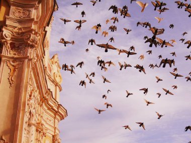 Liguria, İtalya - 03 / 08 / 2020: Arka planda bazı bulutlar ile eski kilisenin üzerinde uçan güzel bir kuş grubu.