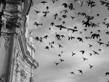 Liguria, İtalya - 03 / 08 / 2020: Arka planda bazı bulutlar ile eski kilisenin üzerinde uçan güzel bir kuş grubu.