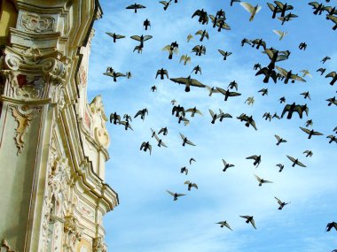 Liguria, İtalya - 03 / 08 / 2020: Arka planda bazı bulutlar ile eski kilisenin üzerinde uçan güzel bir kuş grubu.