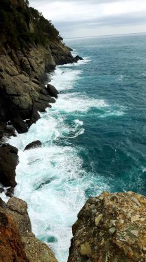Kış günlerinde Portofino 'nun sahil kenarındaki İtalyan yerlerinin güzel bir başlığı. Kayaların üzerinde bazı bitki ve dalgalar var..