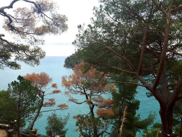 Hermosa Leyenda Los Lugares Italianos Los Días Invierno Cerca Costa — Foto de Stock