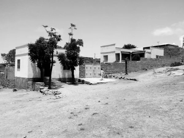 Eritrea Africa 2019 Travelling Vilages Asmara Massawa Удивительный Снимок Деревьев — стоковое фото