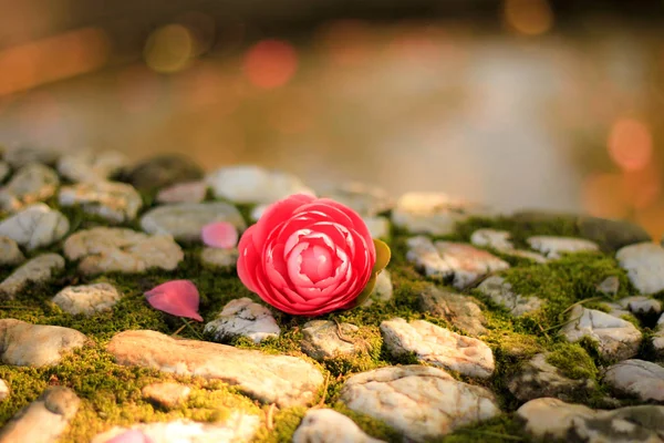 Flor Camelia em pedras decorativas