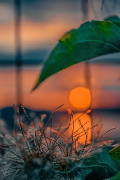 Splendida Vista Sul Lago Iseo — Foto Stock