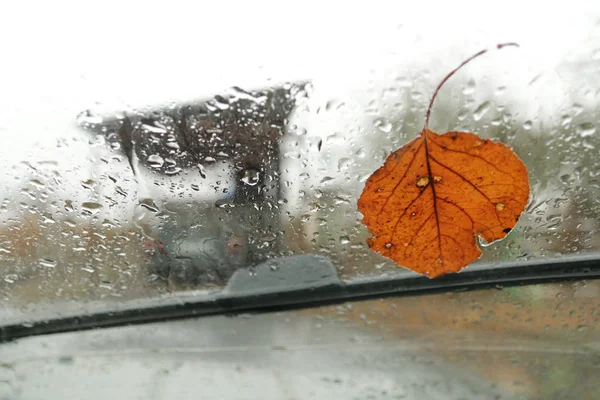Autumn leaf stuck to the windshield that gets wet from rain drops. View from the car for autumn.  Season and weather concept.