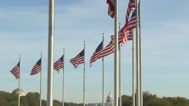 Флаги США у монумента Вашингтону — стоковое видео