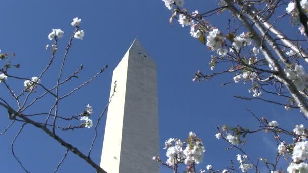 Монумент Вашингтона — стокове відео