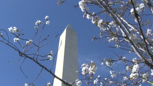 Das Washingtondenkmal — Stockvideo