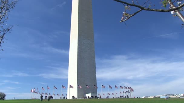 Das Washingtondenkmal — Stockvideo