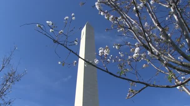 Das Washingtondenkmal — Stockvideo