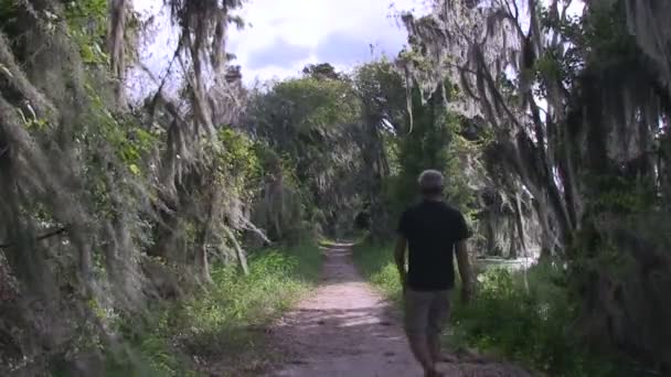 Mann wandert im Naturschutzgebiet — Stockvideo
