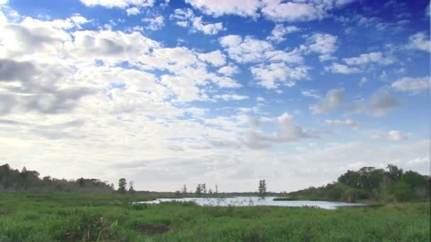 Tid förflutit i ett naturreservat i centrala Florida — Stockvideo