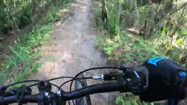 Mountainbiken Einem Park Zentrum Floridas — Stockvideo