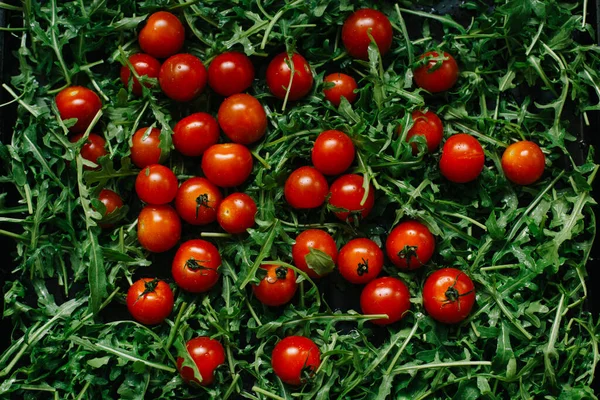 Fresh Small Tomatoes Fresh Arugula Leaves — Stock Photo, Image