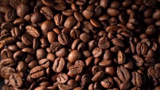 Smerigliatrice elettrica del caffè macina i chicchi di caffè — Video Stock