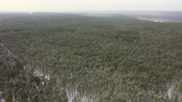 Зимовий засніжений ліс, вид з повітря — стокове відео