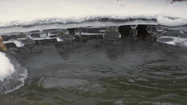 Is och snö på älven, rinnande vatten — Stockvideo