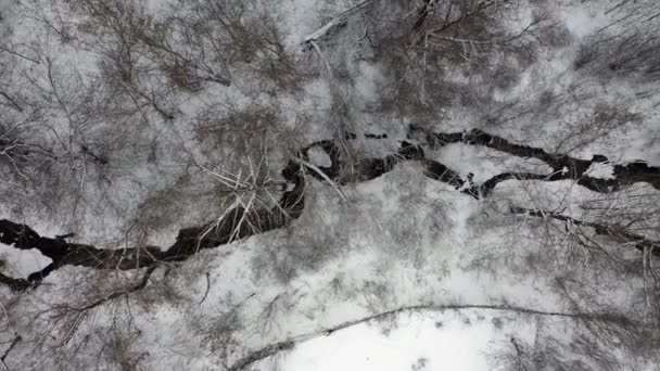 Aerial shot of the frozen river — 비디오