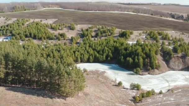 Erba sotto la neve. Fiume congelato nel campo — Video Stock