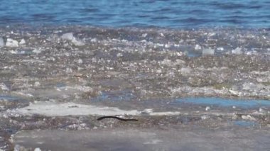 Güneşli bir bahar gününde Volga nehrindeki son buz.