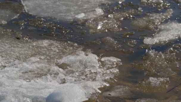 Последний лед на Волге в солнечный весенний день — стоковое видео