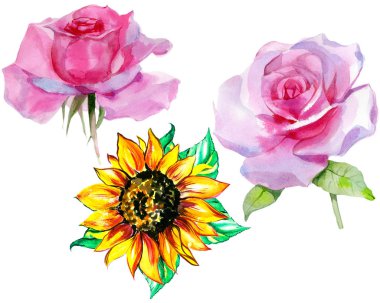 Suluboya çiçekleri Pembe güller ve sarı ayçiçeği.
