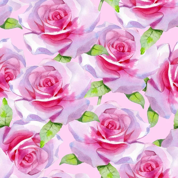 Watercolor pink rose Seamless pattern Spring print — ストック写真