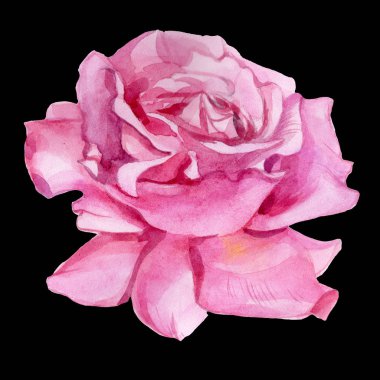 Pembe gül çiçeği sanatı. Resim baskısı. 