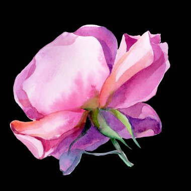 Pembe gül çiçeği sanatı. Resim baskısı. 