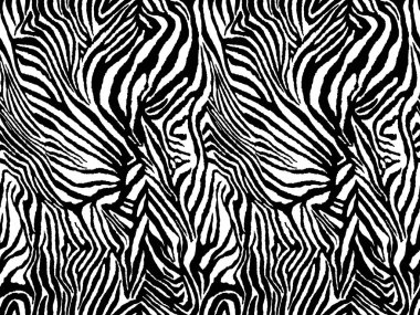 Vektör hayvan zebra izi. Kusursuz Kaplan deseni.