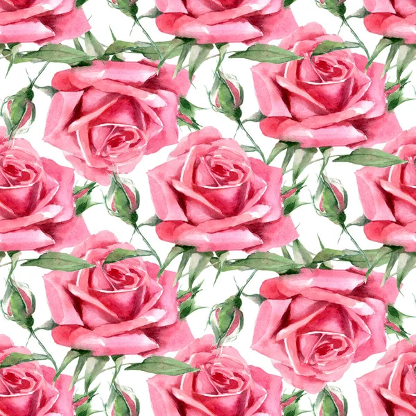 Piękne różowe róże akwarela. Płynny wzór. — Zdjęcie stockowe
