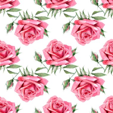 Güzel suluboya pembe güller. Kusursuz desen.