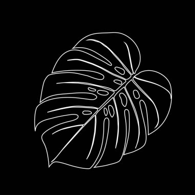 Monstera Deliciosa tropikal ormandan bitki yaprağı