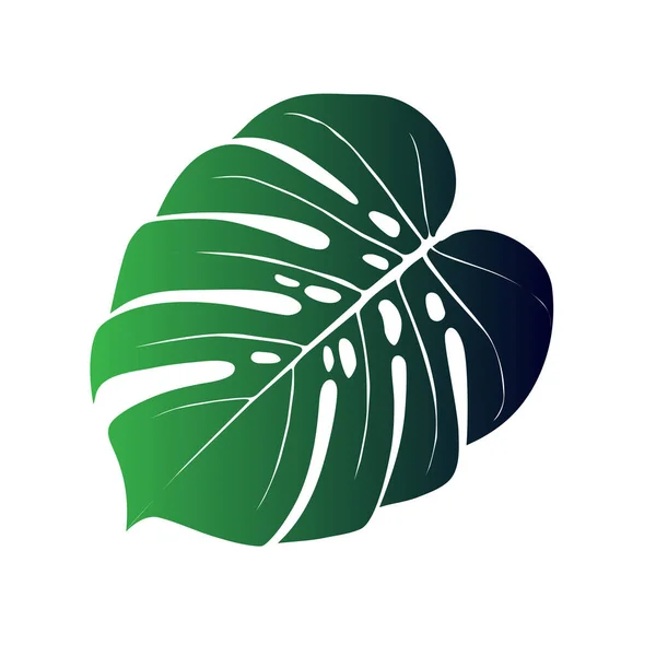 Hoja de planta de Monstera Deliciosa del bosque tropical — Vector de stock