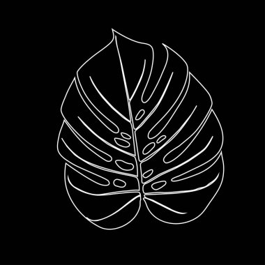 Monstera Deliciosa tropikal ormandan bitki yaprağı