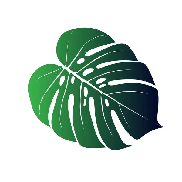 Hoja de planta de Monstera Deliciosa del bosque tropical — Vector de stock