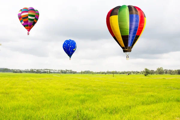 Campo de arroz con globos de aire caliente —  Fotos de Stock