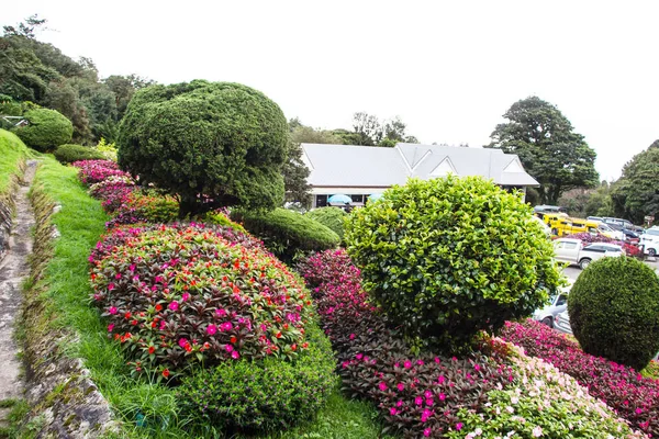 Krásné Tropické Zahrady Thajsko — Stock fotografie