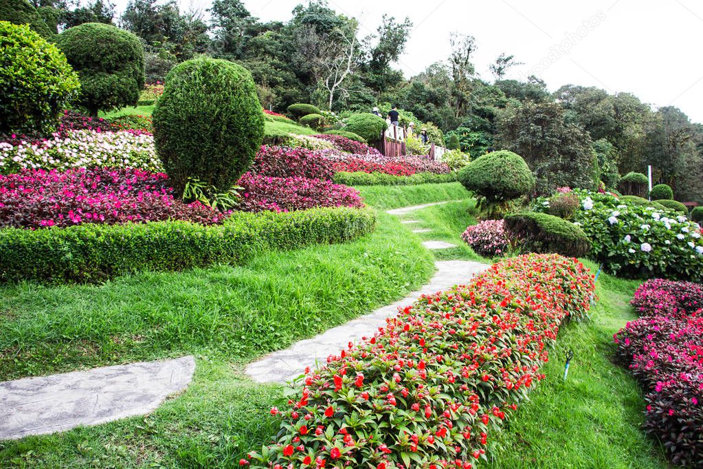 Beautiful tropical garden. Thailand