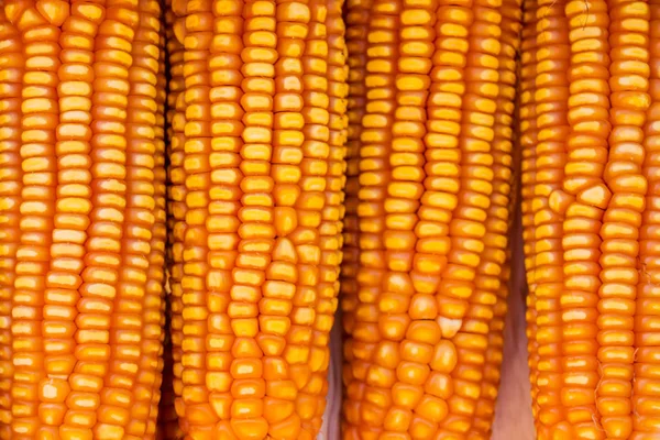 Kukorica Zár Megjelöl Kilátás — Stock Fotó