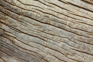 Ahşap doku görünümü kapatın