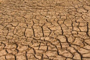 kuraklık arazi, çatlak toprak